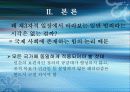 국제 테러 조직과 그 대응방안 모색 (알 카에다를 중심으로) 11페이지