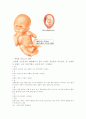 임신과 출산 27페이지