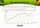 한국경제의 성장과 전망 11페이지