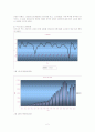 현대 여성의 소비생활 3페이지