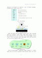 반도체 집적회로 공정 4페이지