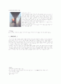 TadaoAndo(안도타다오) 7페이지