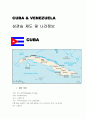 쿠바와베네수엘라의 상관습 제도 및 나라정보 2페이지