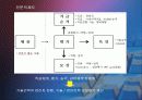 삼성전자의 인사관리 완벽분석 31페이지