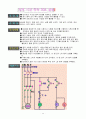 시퀀스PLC(전자 접촉기 제어,실습/전자 개폐기 회로 제어,실습,타이머제어회로,실습,) 11페이지