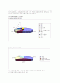 [국제마케팅] 시세이도의 마케팅 성공사례 분석 6페이지