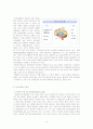 정신분열증(Schizophrenia) 환자 case study 3페이지