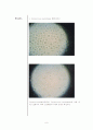 일반생물학실험-현미경의 구조, 사용법 및 관찰 6페이지
