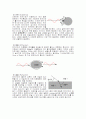 Propagation of microwave along lines 3페이지