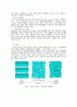 [공학기술]LCD제조공정 조사보고서 43페이지