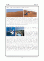 두바이관광개발 vs 부산관광개발 18페이지
