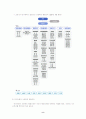 [사회복지행정] 지방자치시대의 사회복지행정 8페이지