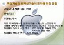 애플(APPLE)사의 조직 분석 (기술과 관련하여) 17페이지