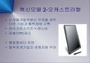 이노베이션에 대한 재무적접근 (혁신에 관한 오해들) PPT 14페이지