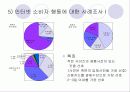 인터넷환경(온라인)에서의 소비자 행동분석(A+소비자행동론) 16페이지