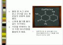 커피에 대하여.. 27페이지