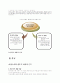 전략적 제휴(아시아나 항공과 글로벌항공) 5페이지