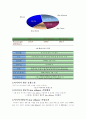 전략적 제휴(아시아나 항공과 글로벌항공) 11페이지