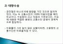 미래의 신교통 시스템 파워포인트자료 22페이지