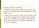 리틀맘의실태와개선방안에 대한 발표자료 12페이지