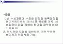 의사전달 커뮤니케이션 에대한 자료 8페이지