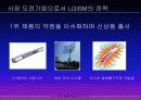 [마케팅] LG IBM의 XNOTE SWOT 분석 및 마케팅 분석 46페이지