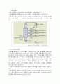 [ 화학공학 ] 석유정제 - 원유에서 연료로 6페이지
