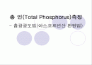Total Phosphorus (총인) 측정 1페이지