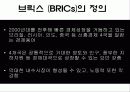 BRICs가 한국경제에 미치는 영향 3페이지
