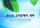 청소년소비문제와 대책 1페이지