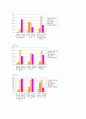 레드망고 성공전략 13페이지