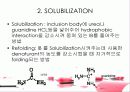 protein refolding 7페이지