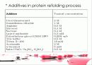 protein refolding 8페이지