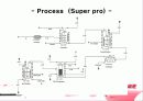 protein refolding 17페이지