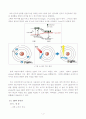 LED의 개념과 원리 6페이지