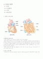심혈관계(심장)의 구조와 기능 2페이지