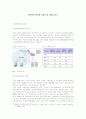 [e비즈니스]WiFi폰의 정의와 시장성 및 사업성 분석(A+리포트) 1페이지