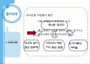 우리은행을 통해 보는 비정규직의 정규직화 문제 29페이지