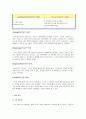 구글 성공 신화의 비밀 그리고 한국 진출 13페이지