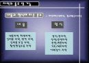 TV 영상에서의 자막 표현과 효과  - TV뉴스와 오락프로그램을 중심으로 5페이지