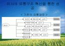 유통전략 부문의 성공과 실패사례 (미샤, 이마트, 까르푸 사례분석) 6페이지