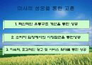 유통전략 부문의 성공과 실패사례 (미샤, 이마트, 까르푸 사례분석) 11페이지