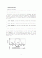 액정의 광특성 & 전기 광학 특성 17페이지