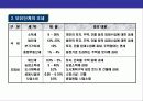 우리나라 조세 체계에 대한 이해 8페이지