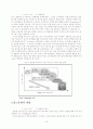 [광고론]디지털 위성방송에 따른 광고환경 변화연구 19페이지