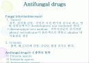 Antiinfective Drugs(항생제(Penicillin,tetracycline,aminoglycoside 등) , 항바이러스제 , 항진균제 , 방부제 , 소독제 등)에 대한 최고급 피피티 발표자료, 그림有 36페이지