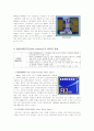 D램산업(플래시메모리)과 전망 12페이지