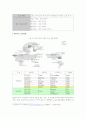 금호타이어 해외시장유통전략 5페이지