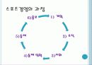 스포츠 경영관리의 개념 및 정의 7페이지