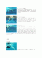 수영영법-자유형, 배영, 평영, 접영 7페이지